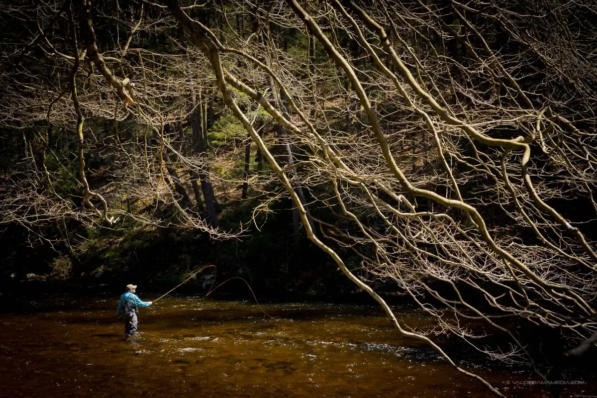 Angler casting on the Farmington River