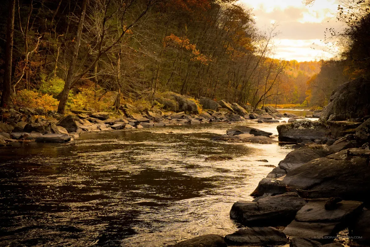 FRAA members gathered beside the river